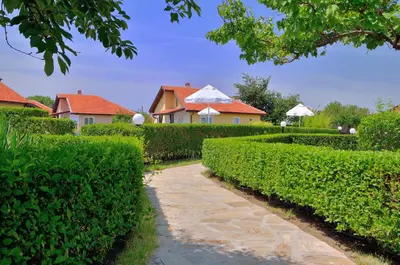a walkway through a hedge with houses in the background at BulgariaVilla - Sunny Hills Villas in Bryastovets