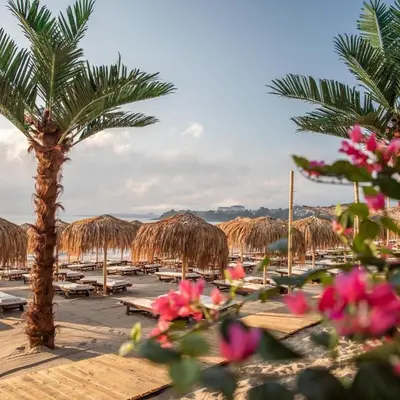 a beach with a palm tree and straw umbrellas at ELIA MARe Hotel ALL Inclusive - Free Beach Access in Kiten