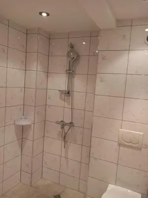 a bathroom with a shower with a toilet at Weißer Schwan Белият лебед in Shkorpilovtsi