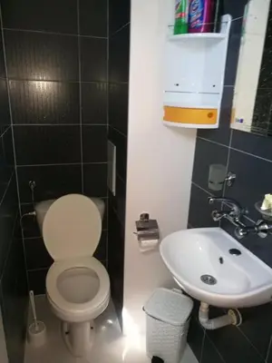 a small bathroom with a toilet and a sink at Къща за гости ЕЛИ in Primorsko