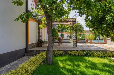 a tree in a yard with a swing at Vila Rosen in Lozenets