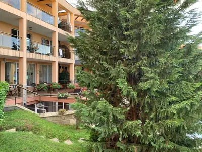 a large pine tree in front of a building at Sozopoli Hills Apartment A6 in Sozopol