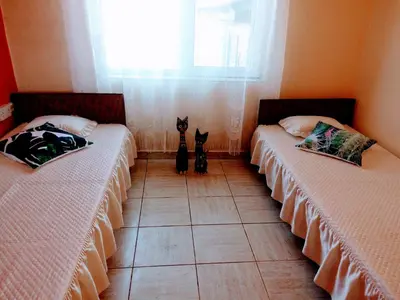 two beds in a room with two cats sitting between them at гостевой дом у Снежаны in Provadiya