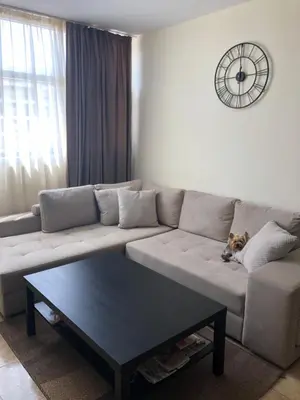 a living room with a couch and a coffee table at ELIT 2 APART HOTEL in Sunny Beach
