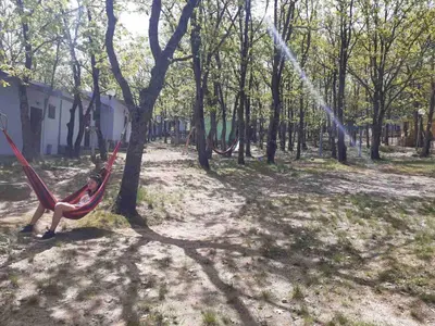 a child sitting in a hammock in a park at Бунгала Дъбрава in Shkorpilovtsi