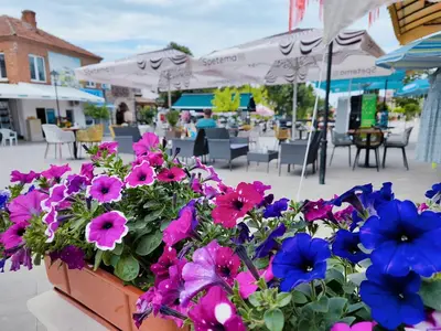 a bunch of flowers in a pot on a patio at Аpartment Bella Vista in Obzor