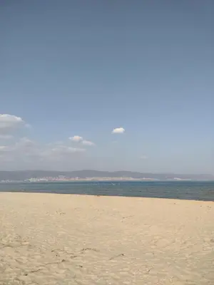a sandy beach with the ocean in the background at Messembria Palace Bulgaria in Sunny Beach