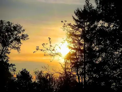 a sunset behind some trees with the sun in the sky at Apartmán Alex beach s nádherným panoramatickým výhledem na moře in Sveti Vlas