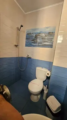 a bathroom with a toilet and a shower at Guest Rooms Kostovi in Nesebar