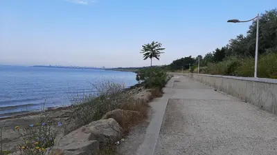 a path next to the water with a palm tree at Decor in Atlantis Resort&SPA by RV Apartments in Burgas City