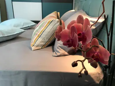 a bed with two pillows and a flower on it at Panorama beach Obzor in Obzor