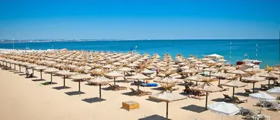 a large group of umbrellas and chairs on a beach at Sunny Fort Private Apartment in Sunny Beach