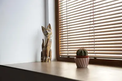 a cat statue and a cactus on a window sill at Guest house Dimant in Burgas City