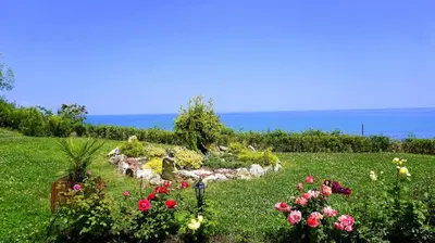 a garden with flowers and the ocean in the background at Бяла Клиф Форест - Byala Cliff Forest in Byala