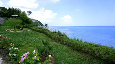 a garden with flowers on a hill next to the ocean at Бяла Клиф Форест - Byala Cliff Forest in Byala