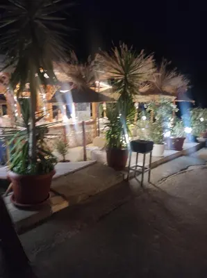a row of palm trees in pots on a street at night at Apartament in sun waves in Burgas City