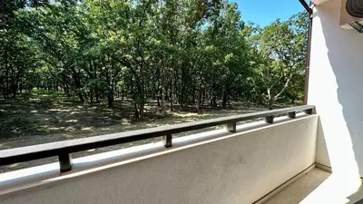 a window with a view of a forest of trees at The Green Paradise Apartments in Primorsko