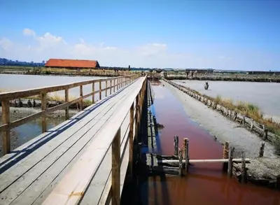 a wooden bridge over a body of water at BBR26- Sea View First Line Apartment Sarafovo in Burgas City