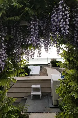 a bench in a garden with purple flowers at Beach Villa Varna - cosiness 4 meters from the sea in Varna City