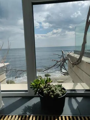 a potted plant sitting in a window looking out at the ocean at Beach Villa Varna - cosiness 4 meters from the sea in Varna City