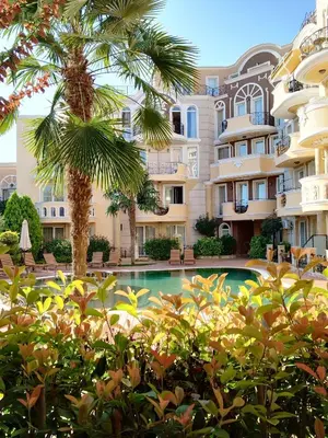 a pool in front of a building with a palm tree at Marina Studio in Ravda