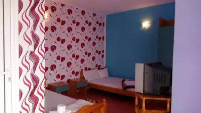 a small room with a bed and a wall with red hearts at Вила Синя Иглика in Kosharitsa