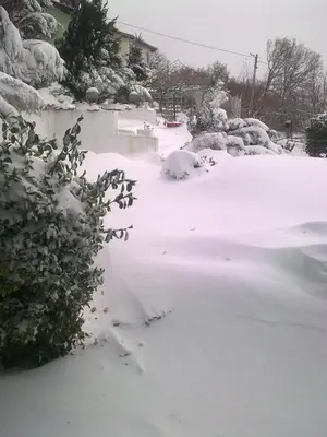 a yard covered in snow with bushes at Вила Синя Иглика in Kosharitsa