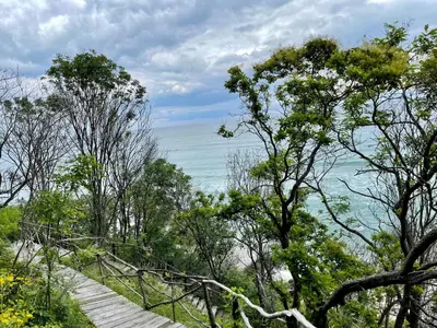 a wooden path leading to the ocean with trees at Apartament in The Cliff Beach & Spa **** in Obzor