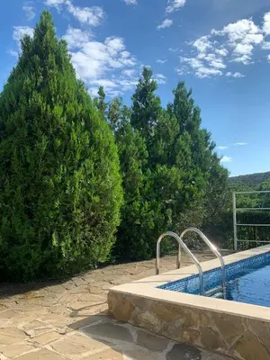 a swimming pool in front of some trees and a tree at Апартамент Silver Star in Sozopol