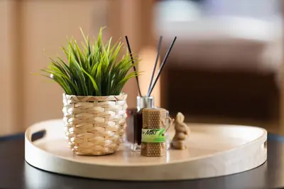 a table with a pineapple vase with plants on it at Promenade Rooftop Flat in Varna City