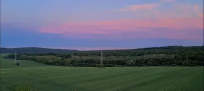 a green field with trees and a pink sky at BohoTide by the Sea in Bliznatsi