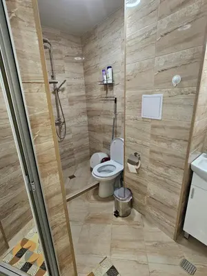 a bathroom with a toilet and a shower at Апартамент ИВАНОВИ Сарафово in Burgas City