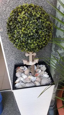 a small tree with rocks in a box at Laguna in Kiten