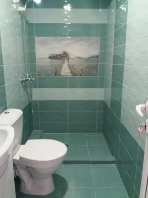 a bathroom with a toilet and a shower with a painting at Laguna in Kiten