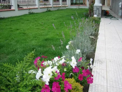 a garden with pink and white flowers in a yard at Chateau Del Mar Holiday Apartments in Sunny Beach