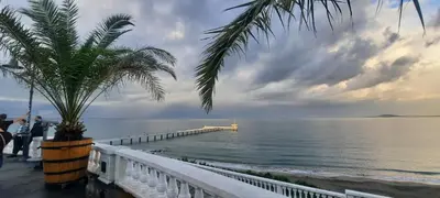 a view of the ocean and a pier with a palm tree at Sea & chill suite in Burgas City