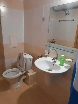 a bathroom with a toilet and a sink at Big comfortable apartment with 2 bedrooms Pollo Resort Sunny Beach in Sunny Beach