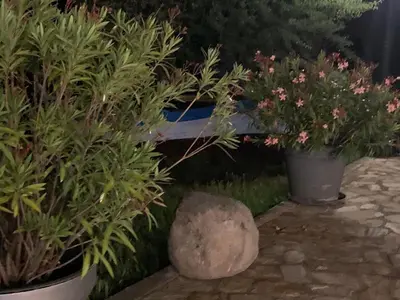 three potted plants in pots on a patio at Апартамент Нели in Ravadinovo