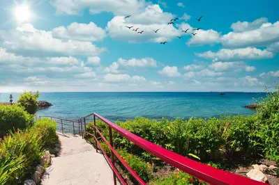 a red staircase leading to the ocean with birds flying at Panorama Fort Beach in Sveti Vlas