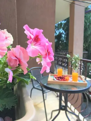 a table with pink flowers and orange cups on a porch at Стаи за гости Димитрови in Burgas City