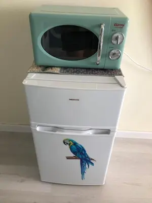 a blue bird sitting on top of a microwave at Studio N in Primorsko