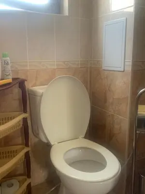a bathroom with a white toilet in a room at Studio Fatinia in Byala