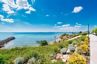 a view of the ocean from a bluff at Prestige Mer d'Azur in Sunny Beach