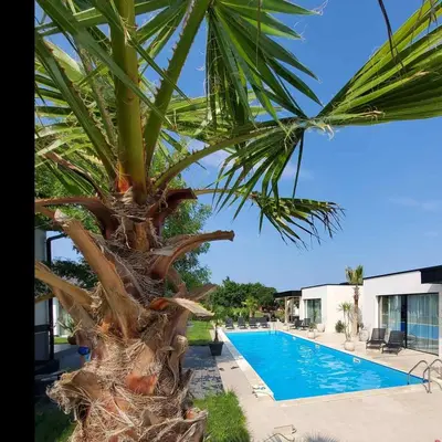 a palm tree next to a swimming pool at Luxury Villas Giardino Lozenetz in Lozenets