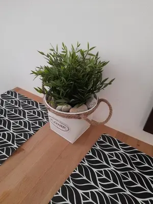 a potted plant sitting on top of a table at APARTMENT STUDIO DELUXE MARINA CAPE 4 stars resort 33 5 in Aheloy