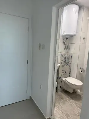 a bathroom with a toilet and a sink at Borko Guest House in Primorsko