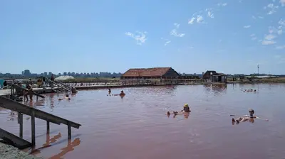 a group of people swimming in a body of water at Brisa Apartment in Burgas City