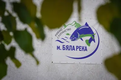 a sign for a fish restaurant on a wall at Рибарник Forest Мagic in Topolitsa