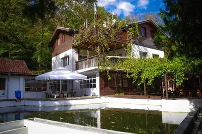 a house with a pond in front of it at Рибарник Forest Мagic in Topolitsa