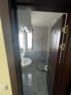 a bathroom with a sink and a toilet at Велика Гардън - Акация 6 in Lozenets